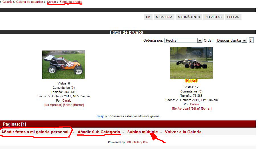 galeria3.jpg