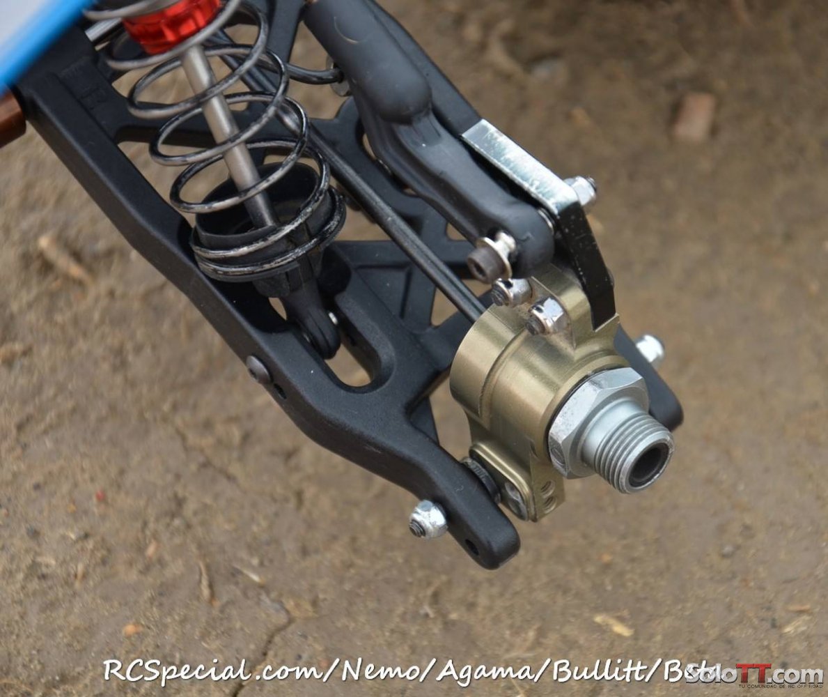 Agama_a215_3.jpg