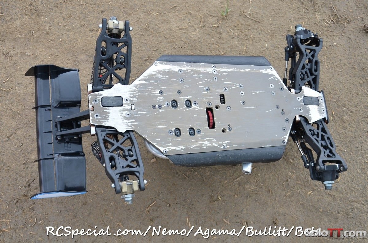 Agama_a215_4.jpg