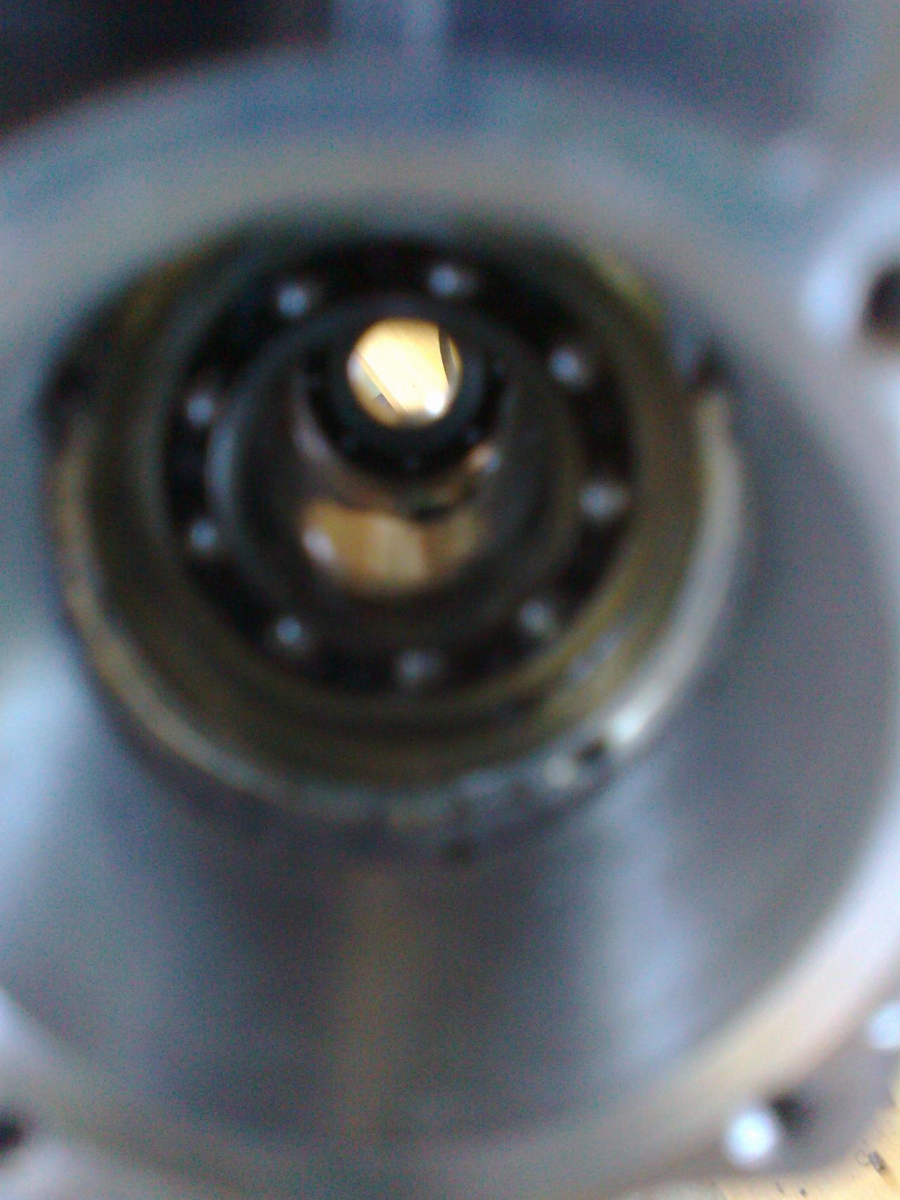 Foto0185.jpg