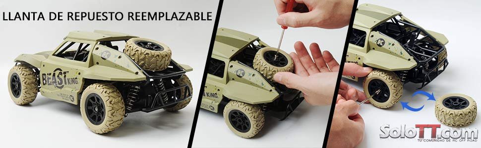 GizmoVine2.jpg