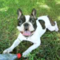 narko